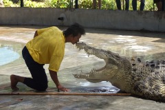 Crocodile Farm