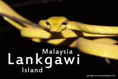 Langkawi 2009