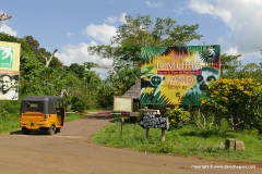 Lemuria Land
