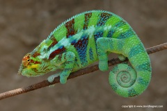 Ambanja, Madagascar