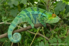 Ambanja, Madagascar