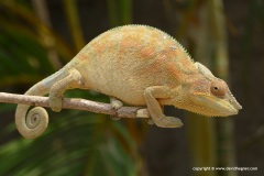 Ambanja, Madagascar