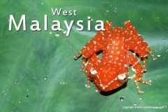 Malaysia 2009