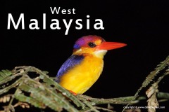 Malaysia 2010