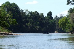 Taman Negara