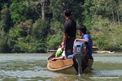 Taman Negara