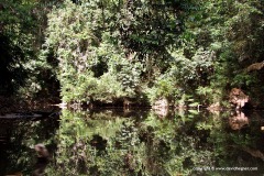 Taman Negara