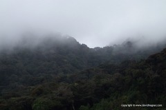 Cameron Highlands