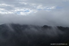 Cameron Highlands