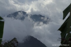 Cameron Highlands