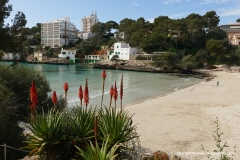 Cala Santanyi