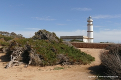 Cap de ses Salines