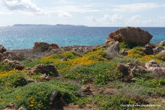 Cabrera Islands