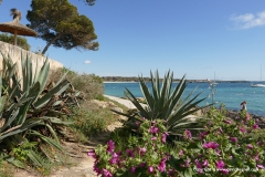 Colónia de Sant Jordi