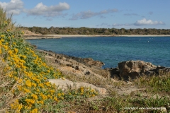 Colónia de Sant Jordi