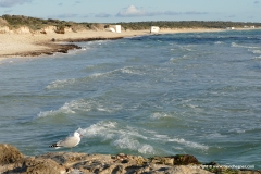 Ses Covetes