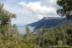 Banyalbufar
