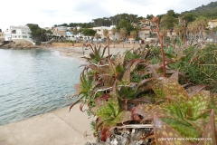 Sant Elm