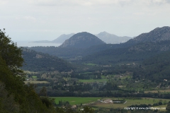 Pollenca