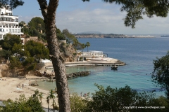 Ses Illetes