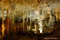 Hams Cave