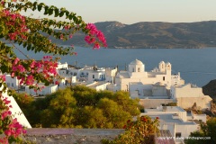 Plaka