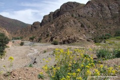 Atlas Mts.