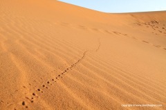 Merzouga
