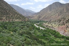 Atlas Mts.
