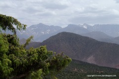 Atlas Mts.