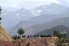 Jebel Toubkal
