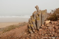 Legzira Beach