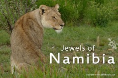 Namibia 2016