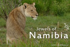 Namibia 2016