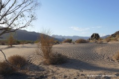 Richtersveld Transfrontier N.P.