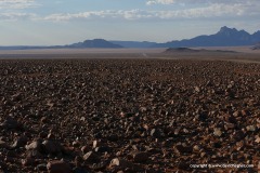 Namib Rand N.R.
