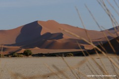 Sossusvlei