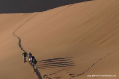 Sossusvlei