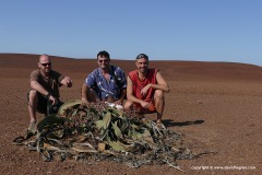 Skeleton Coast