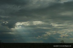 Etosha N.P.