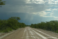 Etosha N.P.