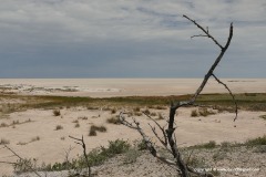 Etosha N.P.