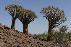 Near Keetmanshoop