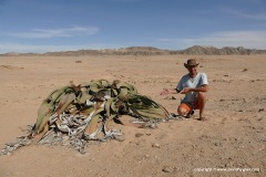 Namib-Naukluft N.P.