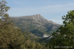 Mt. Zeus