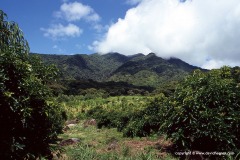 Ometepe Is.