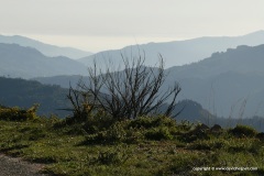 Peneda Geres