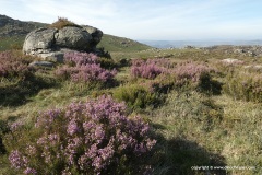 Moureal Plateau