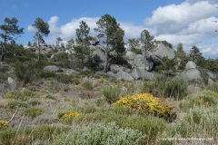 Serra da Estrela