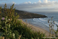 Ericeira